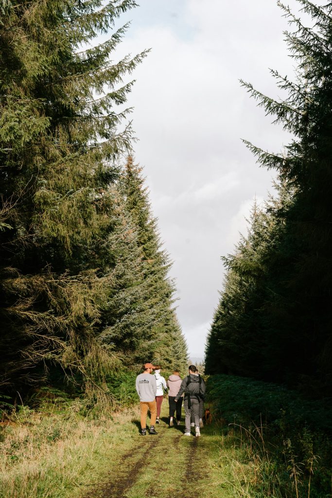 A small group walking away along a forest path. Contextual stock photograph.